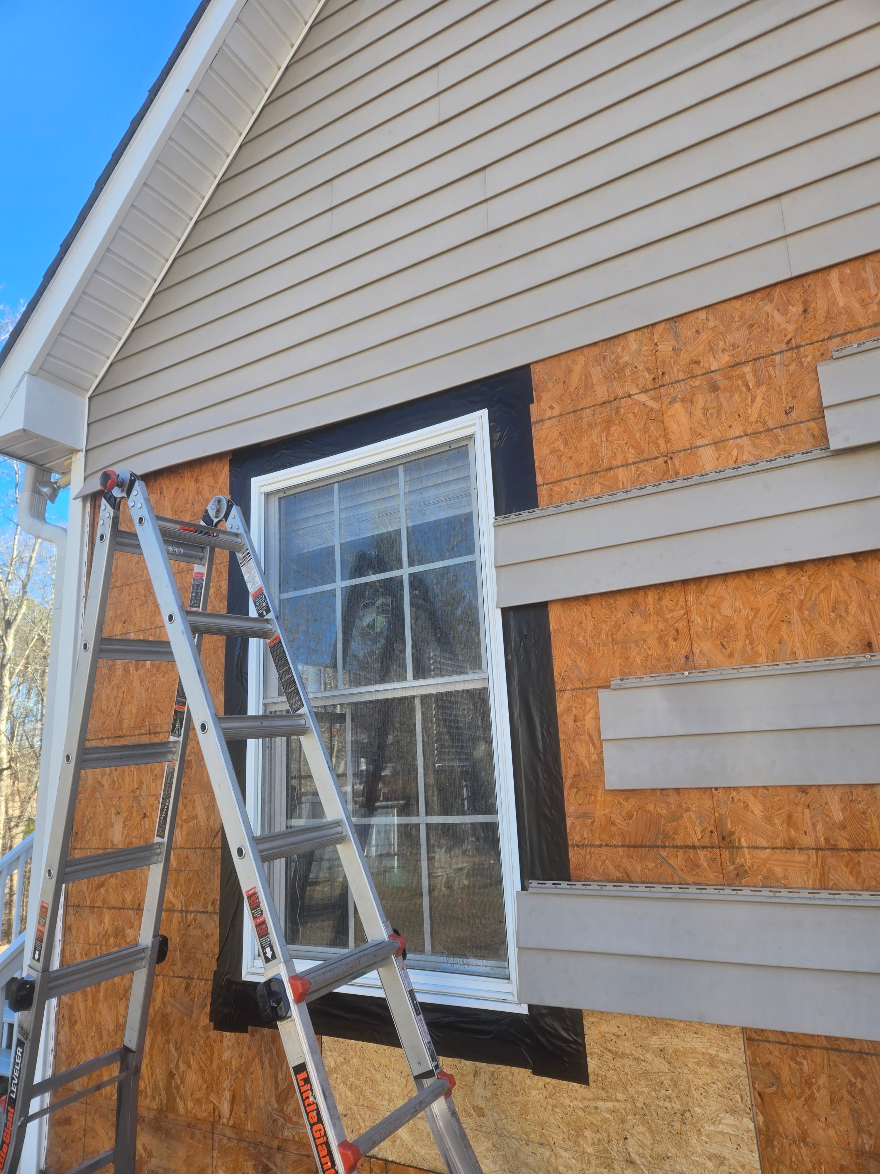 Window & Doors